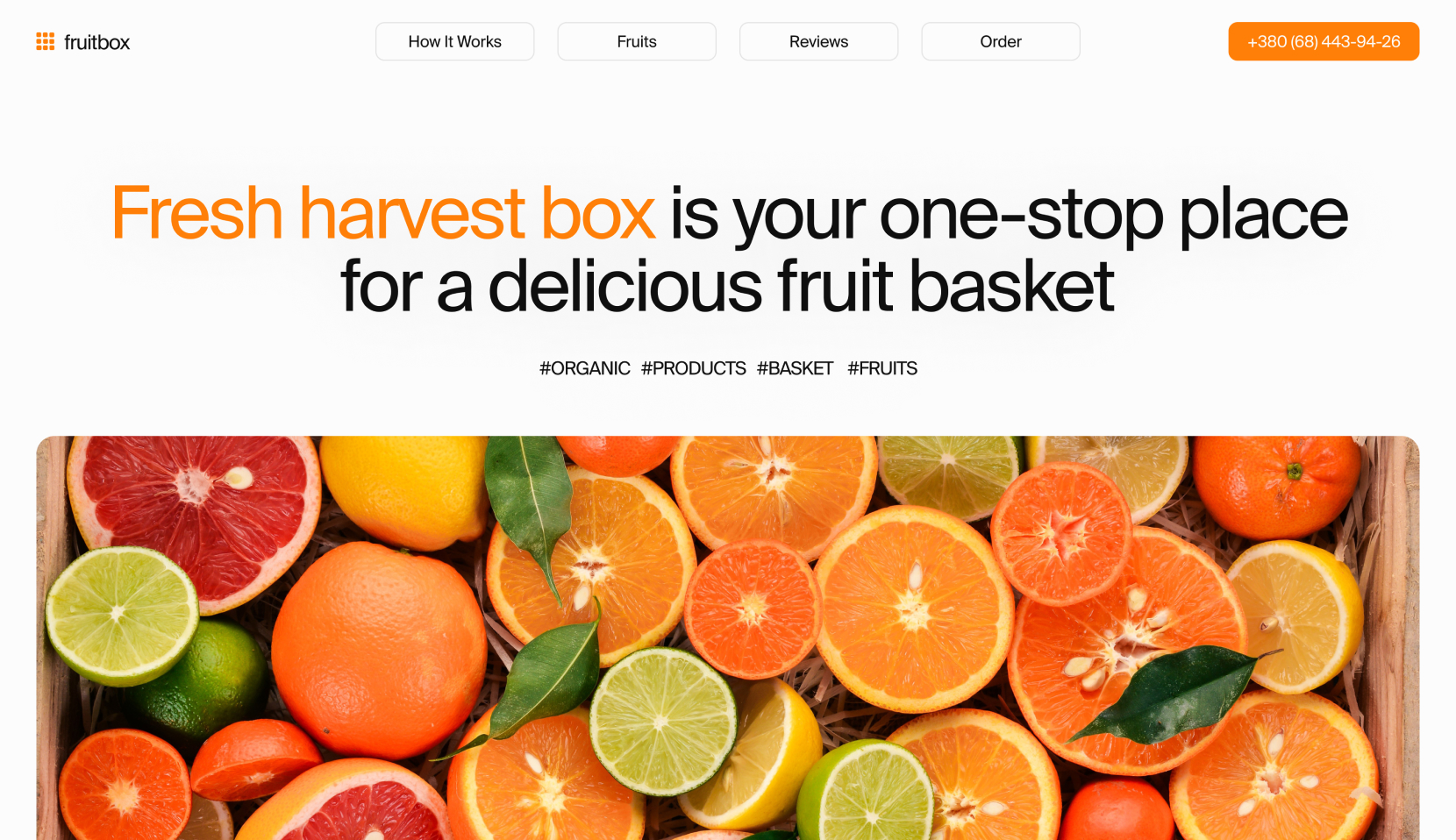 Fruit